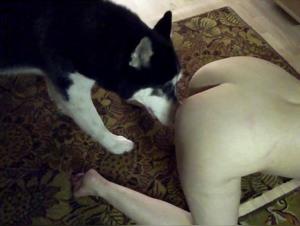 Kasia and her dog: a video of extreme zoophilia