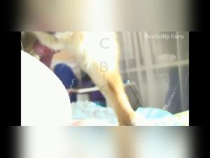 La bestialidad en la cama con la esposa y el perro