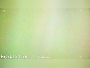 Sex videos with animals: dogs and wild boars