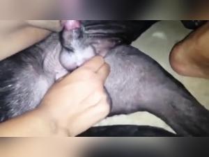 Sexy woman and her dog: a shocking bestiality video