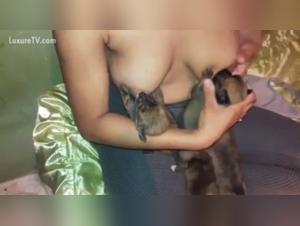 Extreme dog breastfeeding