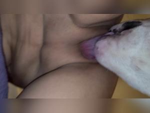 Deconstructing Zoo Art: Ethics & Boundaries