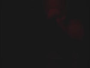 Compilation of Sex with Dogs - Part 1