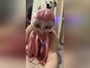 chica rosa con perro, placer animal extremo