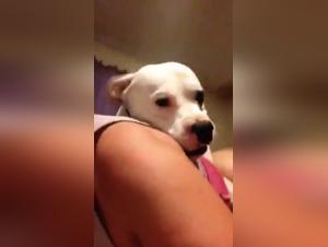 BBW Amateur Wife and Her Best Friend on All Fours: A Bestial and Intense Experience