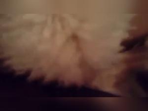 Bestiality sex video with a slim female dog and her naughty dogs