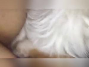 Bestiality Sex: A Young Woman and a Naughty Dog