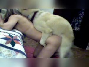 A hot canine encounter