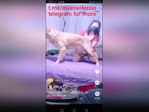chien asian nue fougue