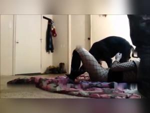 dog suck, bestiality, sexo animal extremo