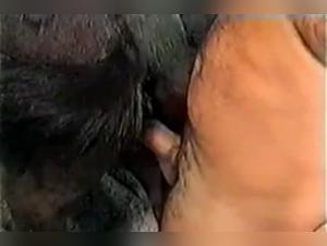 Exciting Encounter: Man and Horse