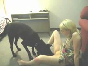  Chien défonce la femme par derrière