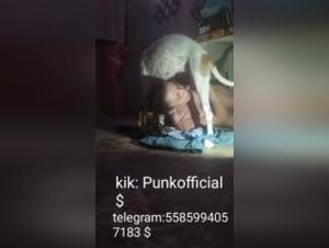 New sex videos with dogs