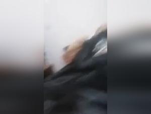 Video of Sex with a Dog