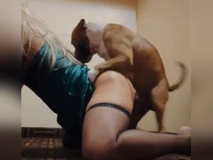 Bitch Knotted By Dog