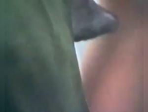 Vintage BFI Video: A Unique Beastly Experience