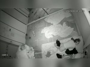 Unveiling the K9 Secrets