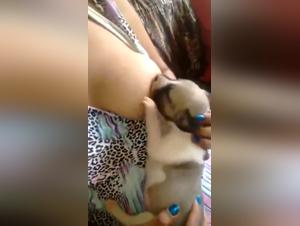 Woman and Puppy: An Unforgettable Sexual Encounter