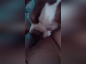 Exploring Beasteality: Canine Desires