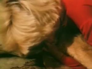 tierische lust: osceno (1987) - hund-orgie