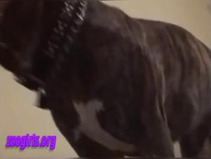 Milly se fait baiser par chien - Teeny Pony 9 - XXX Vidéos