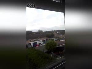 Bestiality with a Dog