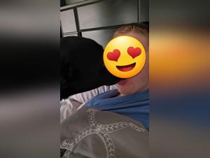 réveil animal: sexe chaud au réveil avec chien