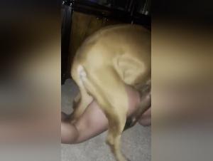 Woman submissive to her dog in an extreme zoophilia video