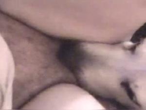 Sex with a Dog Video - Feline Language 1