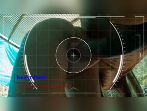 Zoohamster unleashes the fury on my homestay