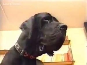 Bestial Orgy: Two Women and a Dog