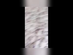 Woman Dog Sex