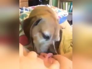 Teenage Girl and Her Dog: Shocking Bestiality Video