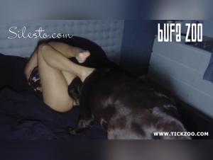 dog fucks the incredible Silesto Veronica
