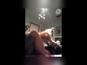 Amateur Wife and Her Dog - Part 2: A Bestial and Exciting Experience