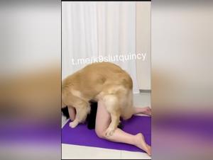 Asian: My dog fucks her