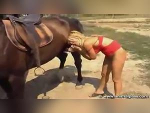 Milf and Horse: A Bestial Encounter
