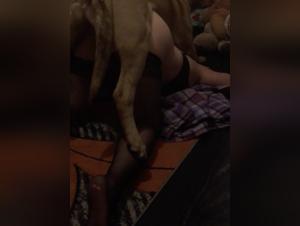 Bestiality: a woman and her dog in a shocking video