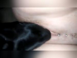 Bestialische und intensive Begegnung - Zoophilia-Video