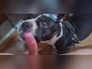 Fat woman and her love for the dog