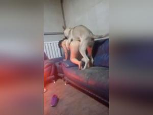Nuevo Perro Follando Chica Q1428912960