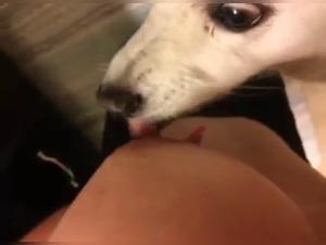 Zoophilia Video: Discover 'Cream' - Sex with a Dog