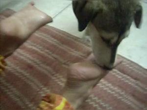Foot fetish fantasies on Indian women, sex with dog, dirty girl