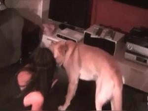 Thirsty for Sex with Dogs