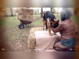 Ariel's Canine Encounters: Lucky Dogs in Intimate Moments