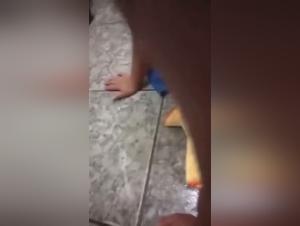 Bestiality Sex Comics Featuring Powerful Women and Dogs