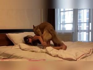 Zoophilia video with a young Russian and a dog