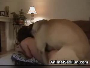 Woman and Dog: A Forbidden Meeting