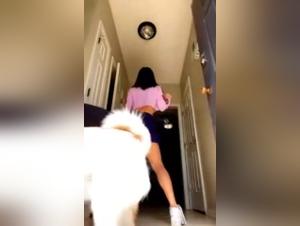 Bestiality: a woman and her dog in a shocking video