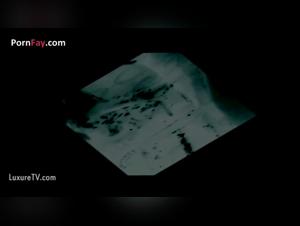 Elise and her canine companion: a beastly encounter